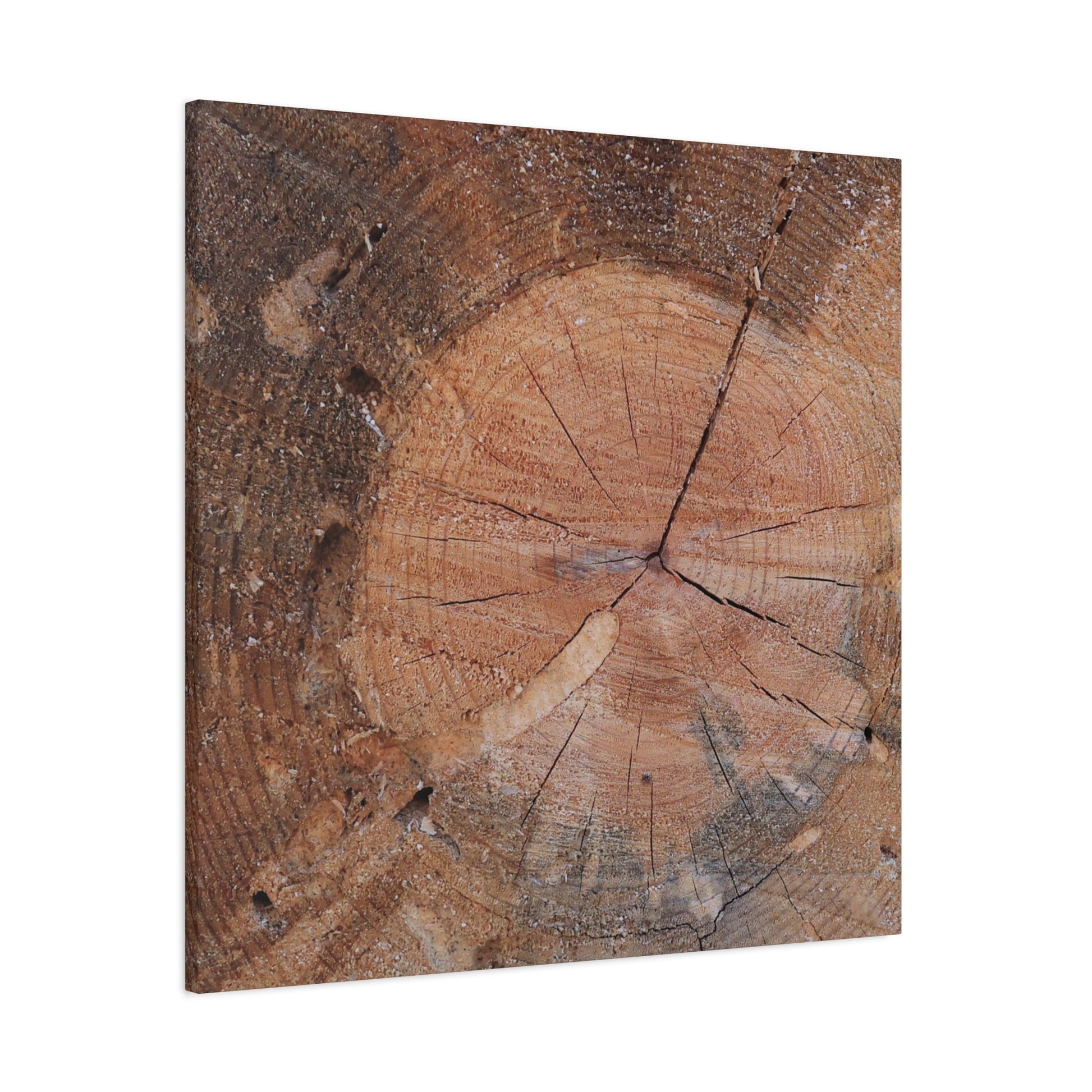 Timber Tale - Unique Frameless Canvas Wall Art - Art By Earth