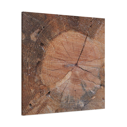 Timber Tale - Unique Frameless Canvas Wall Art - Art By Earth