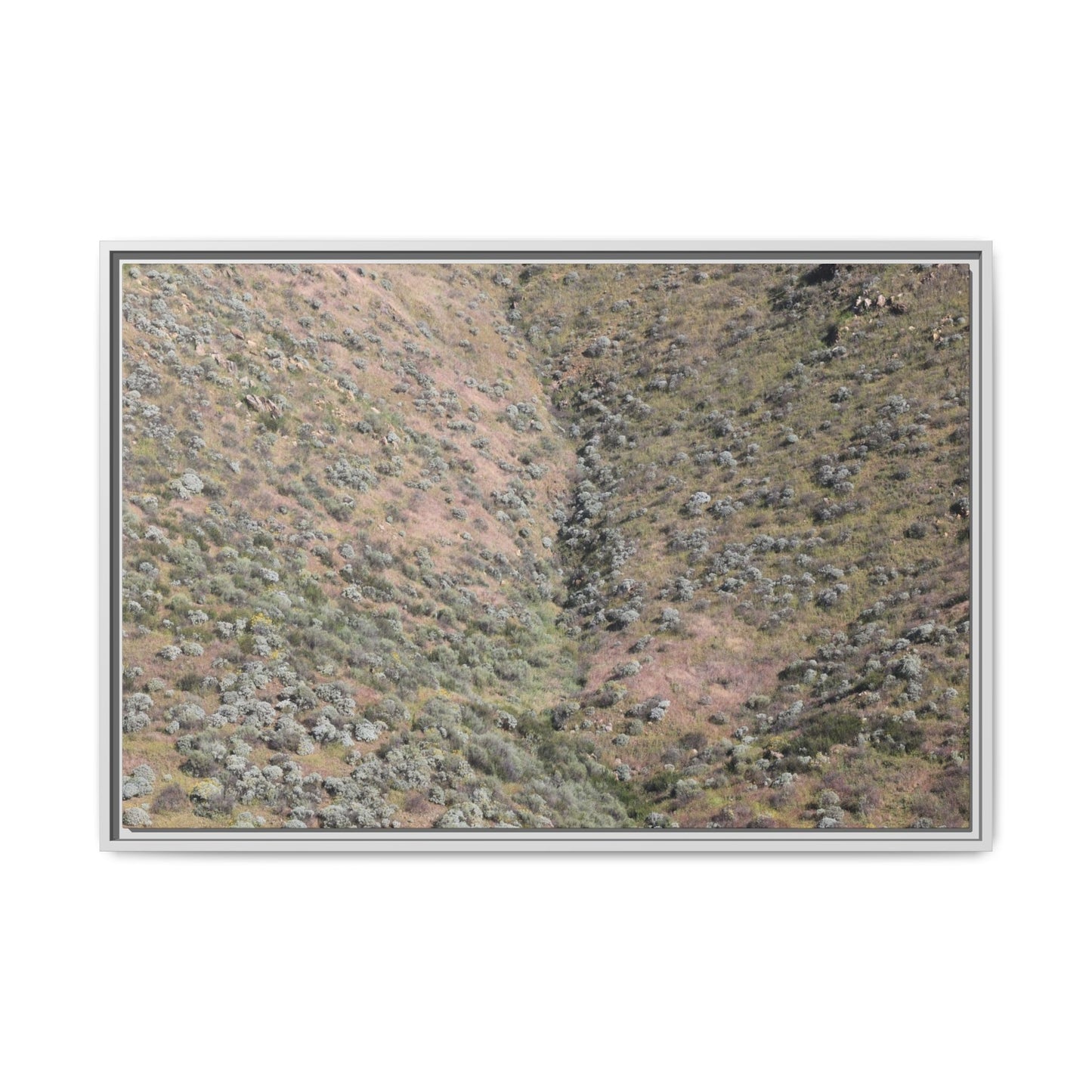 Mountain Slope with Desert Vegetation - Unique Stretched Canvas Wall Art - Art By Earth