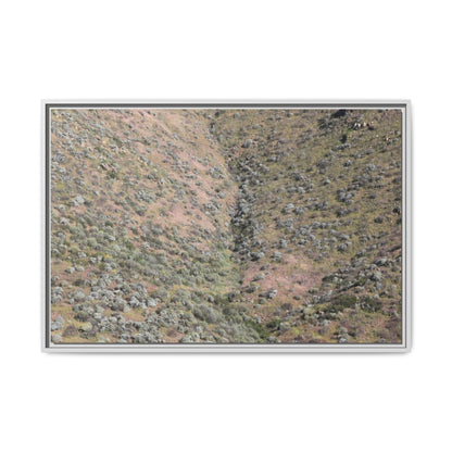 Mountain Slope with Desert Vegetation - Unique Stretched Canvas Wall Art - Art By Earth