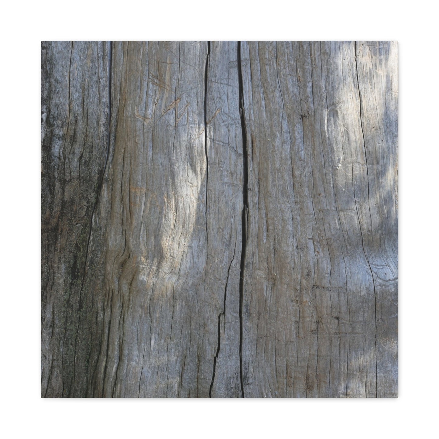 Split Log - Unique Frameless Canvas Wall Art