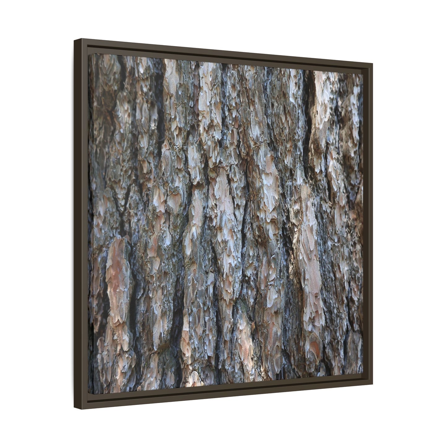 Bark Whispers - Unique Stretched Canvas Wall Art - Art By Earth