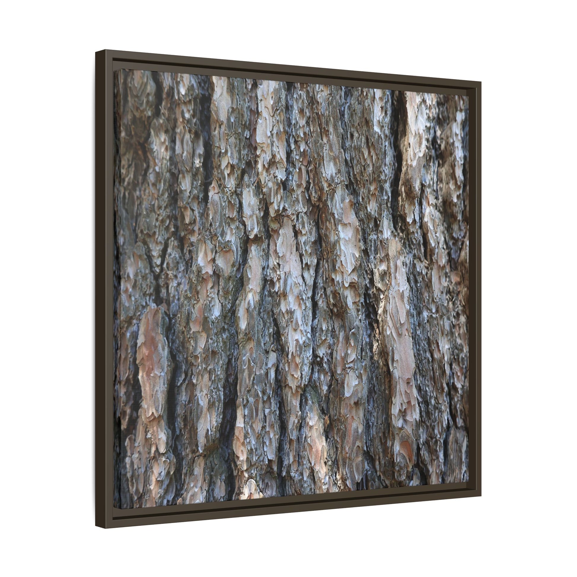 Bark Whispers - Unique Stretched Canvas Wall Art - Art By Earth