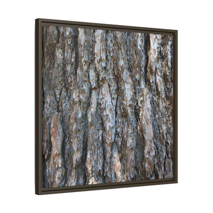 Bark Whispers - Unique Stretched Canvas Wall Art - Art By Earth