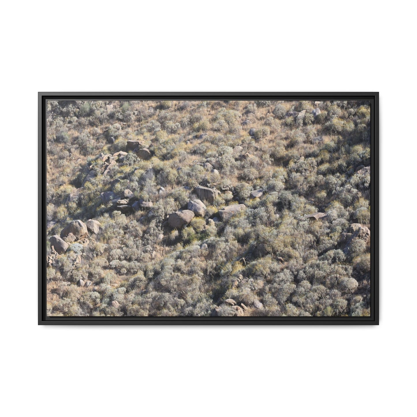 Arid Terrain Study - Unique Stretched Canvas Wall Art - Art By Earth