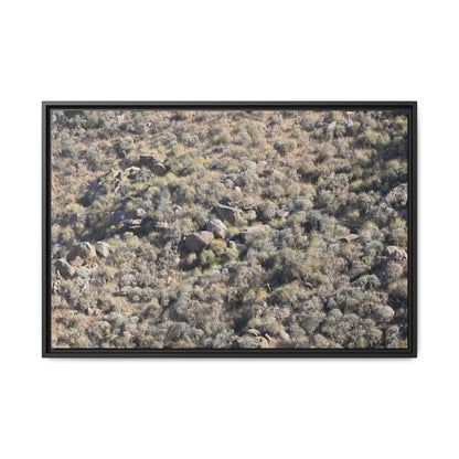 Arid Terrain Study - Unique Stretched Canvas Wall Art - Art By Earth