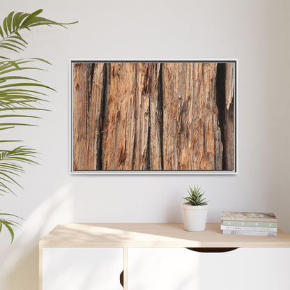 Timber Echoes - Unique Stretched Canvas Wall Art - Art By Earth