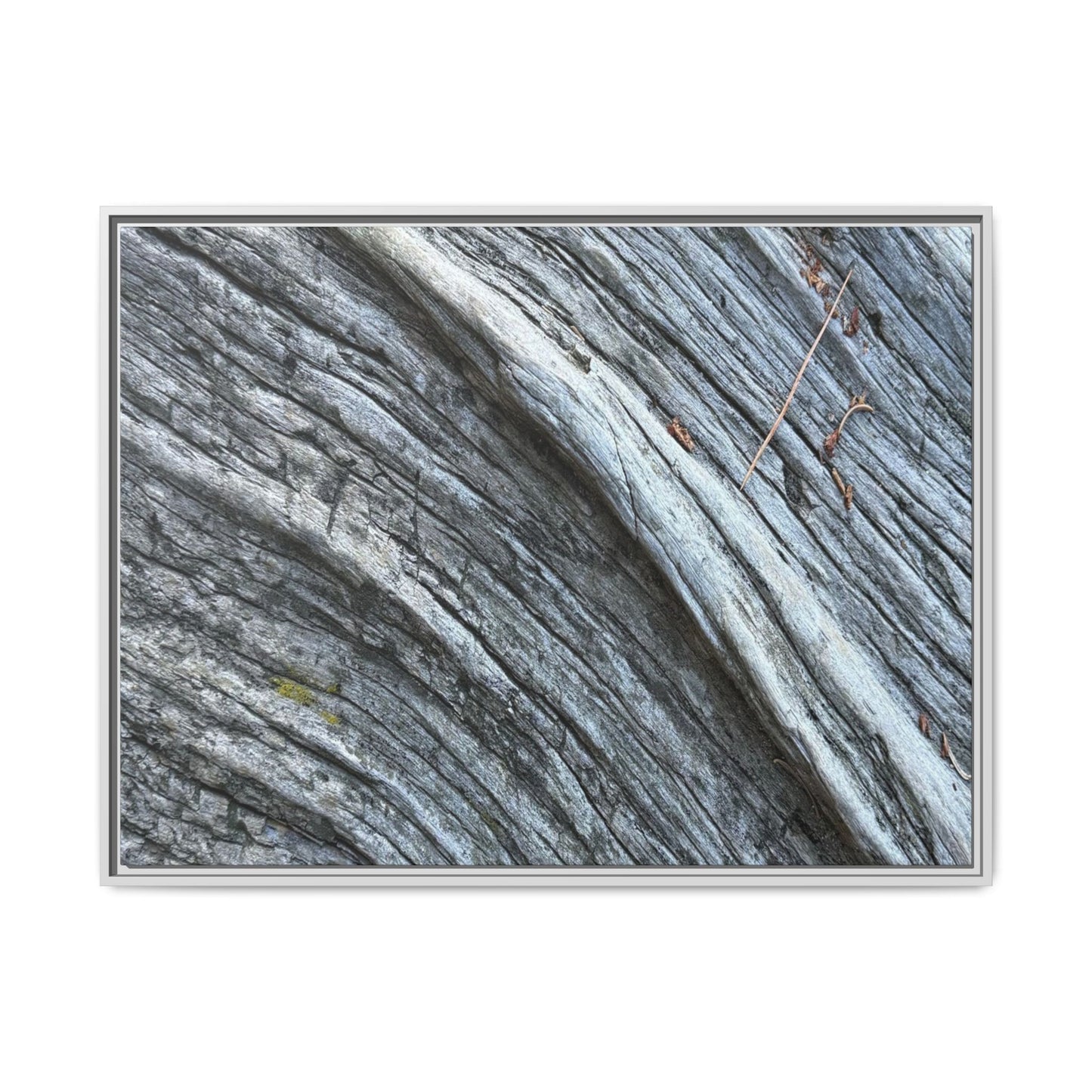 Aged Timber - Unique Stretched Canvas Wall Art - Art By Earth