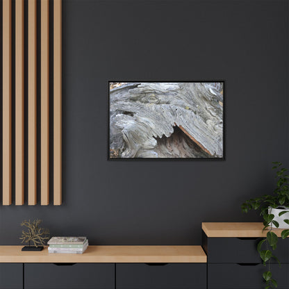 Driftwood Dreams - Unique Stretched Canvas Wall Art - Art By Earth