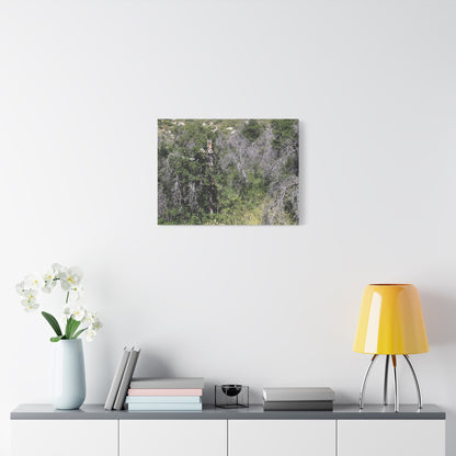 Drought-Stricken Forest - Unique Frameless Canvas Wall Art
