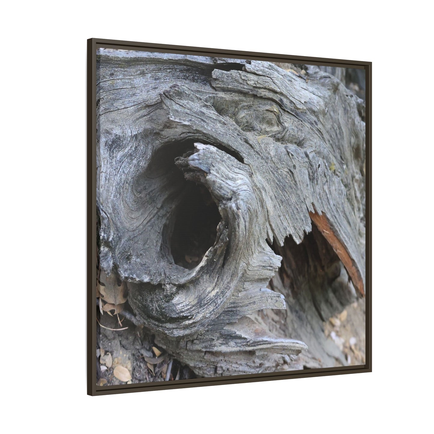 Bark's Labyrinth - Unique Stretched Canvas Wall Art - Art By Earth