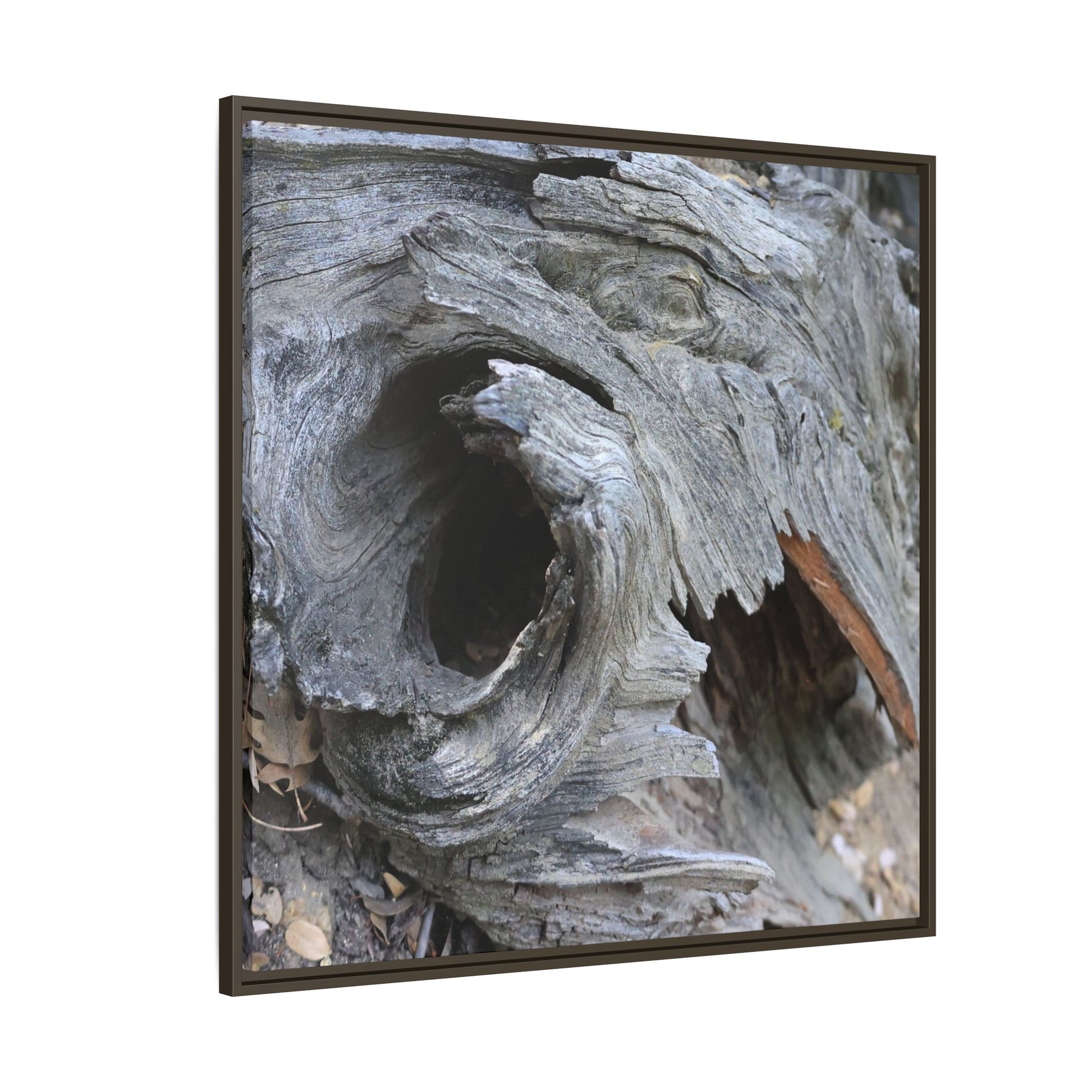 Bark's Labyrinth - Unique Stretched Canvas Wall Art - Art By Earth