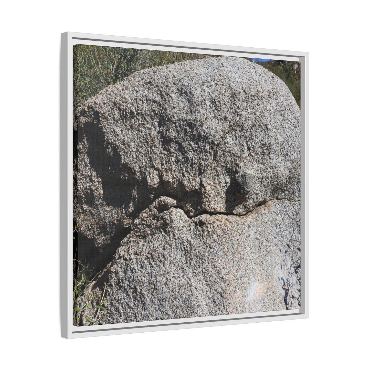 Stone Skull in Desert - Unique Stretched Canvas Wall Art