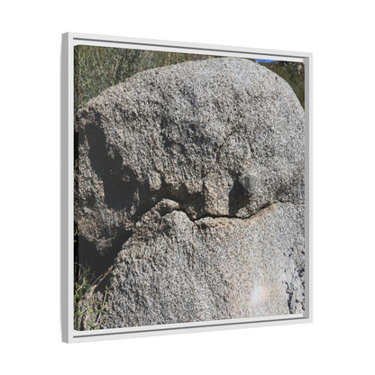 Stone Skull in Desert - Unique Stretched Canvas Wall Art