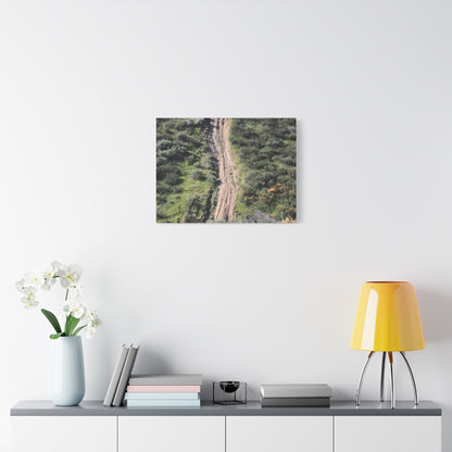 Straight Road Cutting Through Wilderness - Unique Frameless Canvas Wall Art - Art By Earth