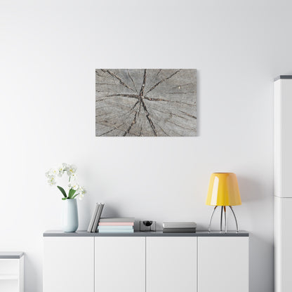Cracked Chronicle - Unique Frameless Canvas Wall Art - Art By Earth