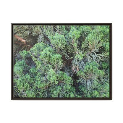 Verdant Whispers - Unique Stretched Canvas Wall Art - Art By Earth