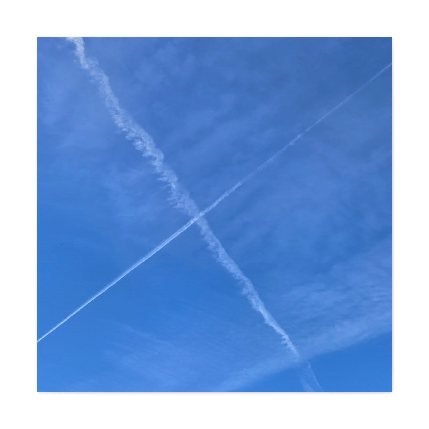 Crossing Paths - Unique Frameless Canvas Wall Art - Art By Earth