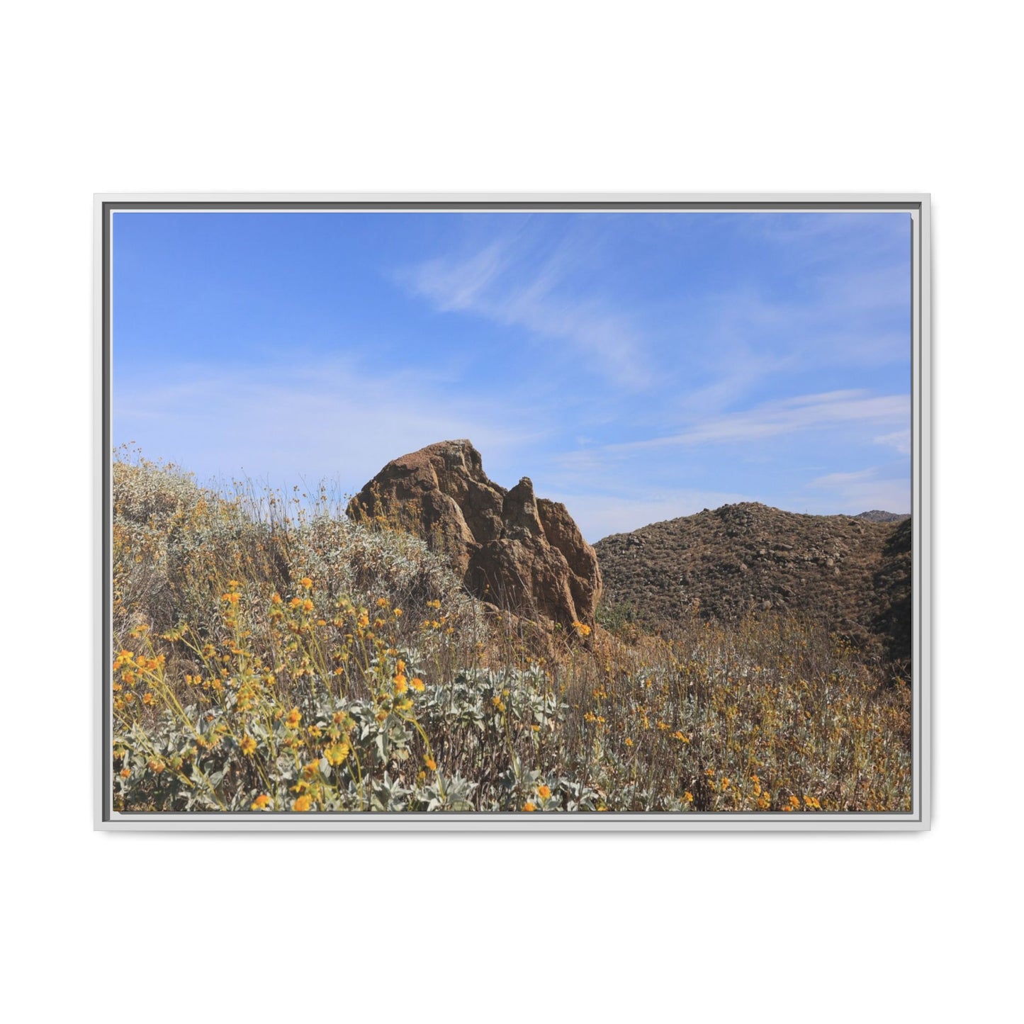 Golden Flowers in Arid Landscape - Unique Stretched Canvas Wall Art - Art By Earth