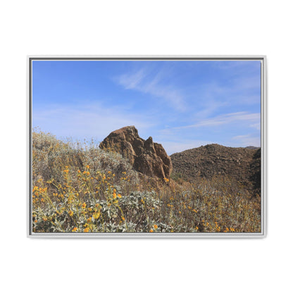 Golden Flowers in Arid Landscape - Unique Stretched Canvas Wall Art - Art By Earth