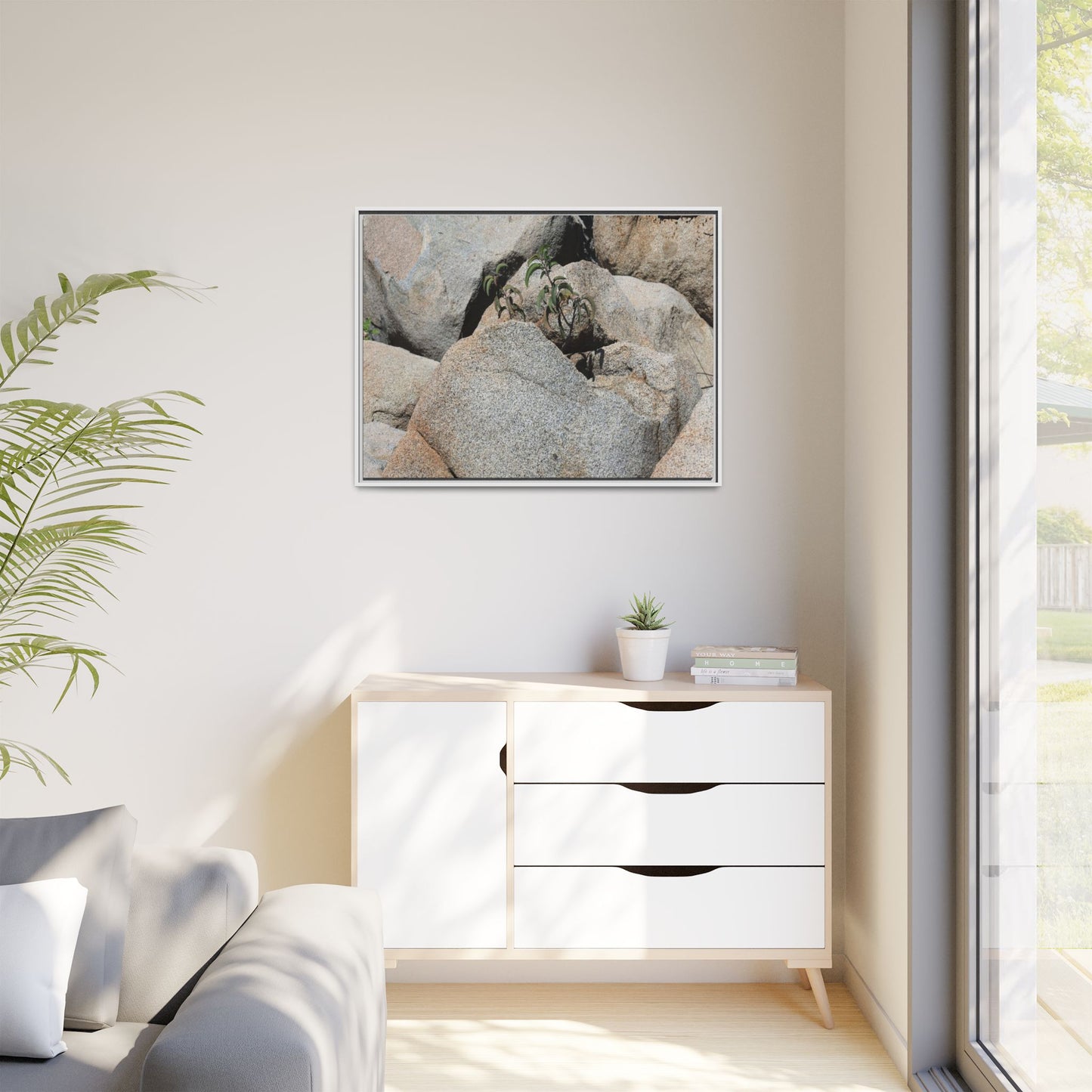 Desert Plant Thriving Among Rocks - Unique Stretched Canvas Wall Art