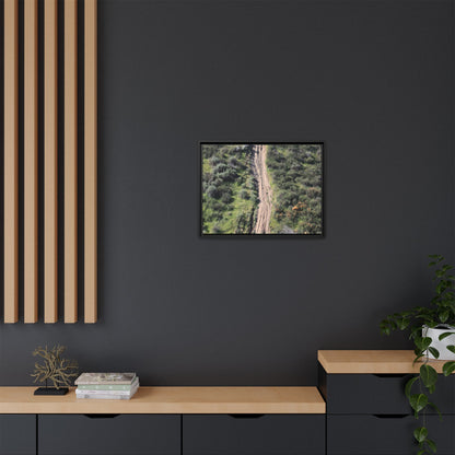 Desert Path Through Sage - Unique Stretched Canvas Wall Art - Art By Earth