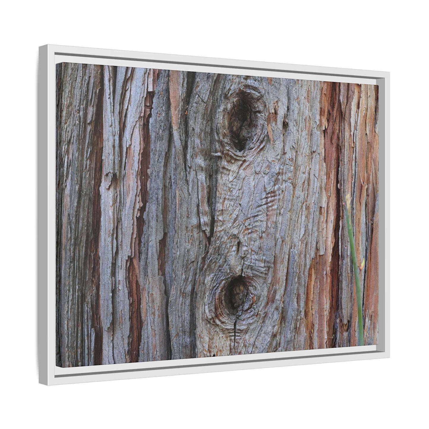 Knotty Nature - Unique Stretched Canvas Wall Art - Art By Earth