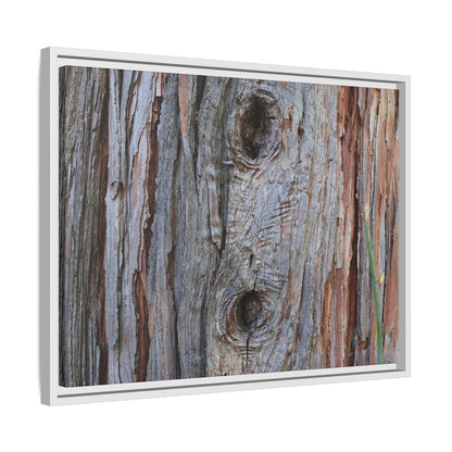 Knotty Nature - Unique Stretched Canvas Wall Art - Art By Earth