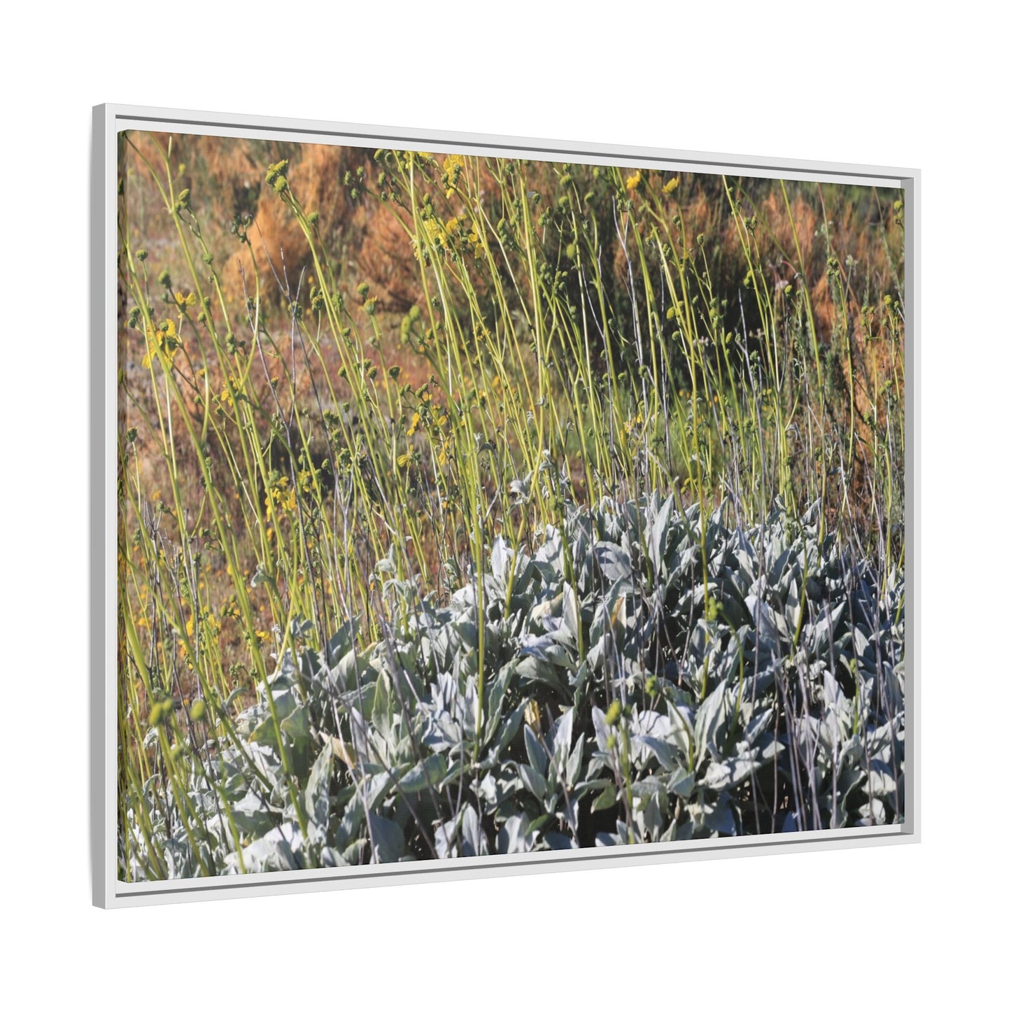 Arid Landscape with Yellow Flowers - Unique Stretched Canvas Wall Art - Art By Earth