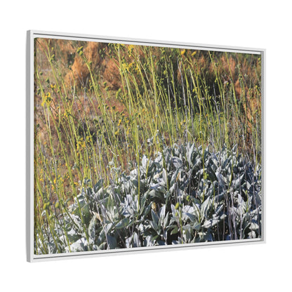 Arid Landscape with Yellow Flowers - Unique Stretched Canvas Wall Art - Art By Earth