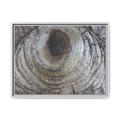 Echoes of Time - Unique Stretched Canvas Wall Art - Art By Earth