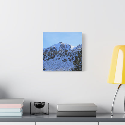 Snowy Peaks and Stoic Pines - Unique Frameless Canvas Wall Art
