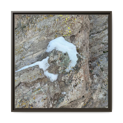 Lichen's Embrace - Unique Stretched Canvas Wall Art