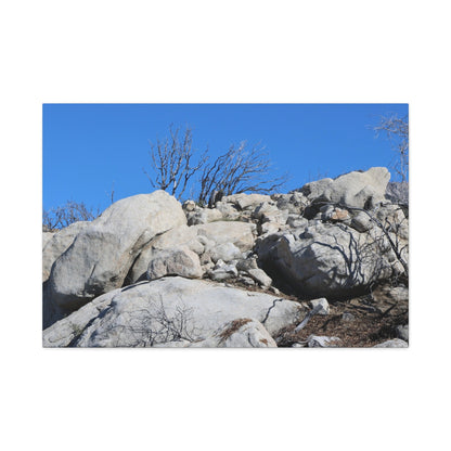 Desert Rocks Under Blue Sky - Unique Frameless Canvas Wall Art - Art By Earth
