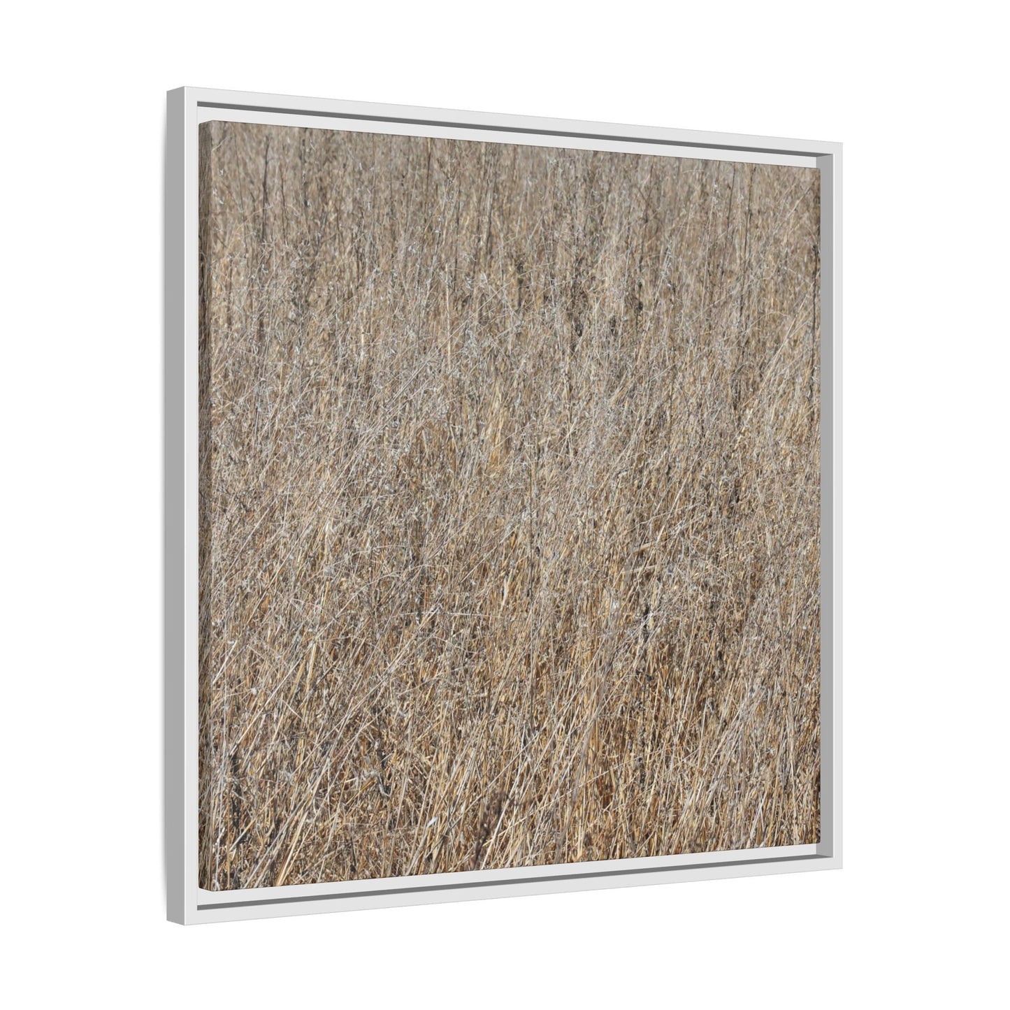Dry Straw Symphony - Unique Stretched Canvas Wall Art - Art By Earth