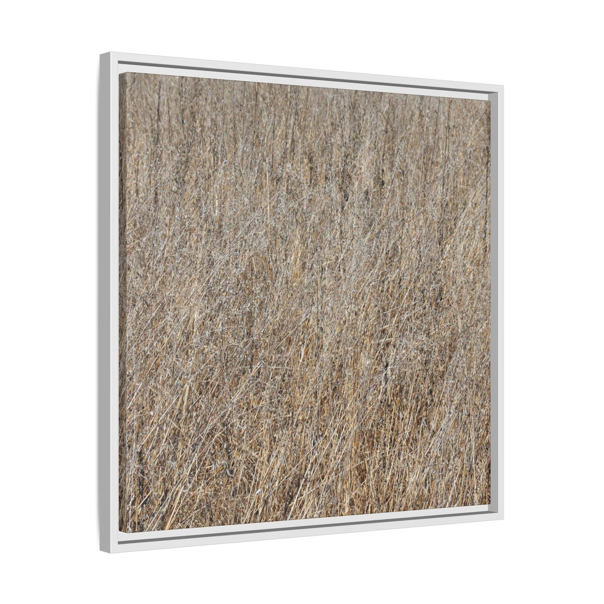 Dry Straw Symphony - Unique Stretched Canvas Wall Art - Art By Earth