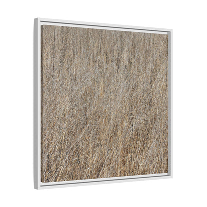 Dry Straw Symphony - Unique Stretched Canvas Wall Art - Art By Earth