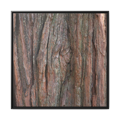 Rugged Textures - Unique Stretched Canvas Wall Art - Art By Earth