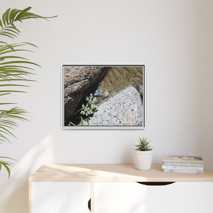 Resilience in Stone - Unique Stretched Canvas Wall Art - Art By Earth