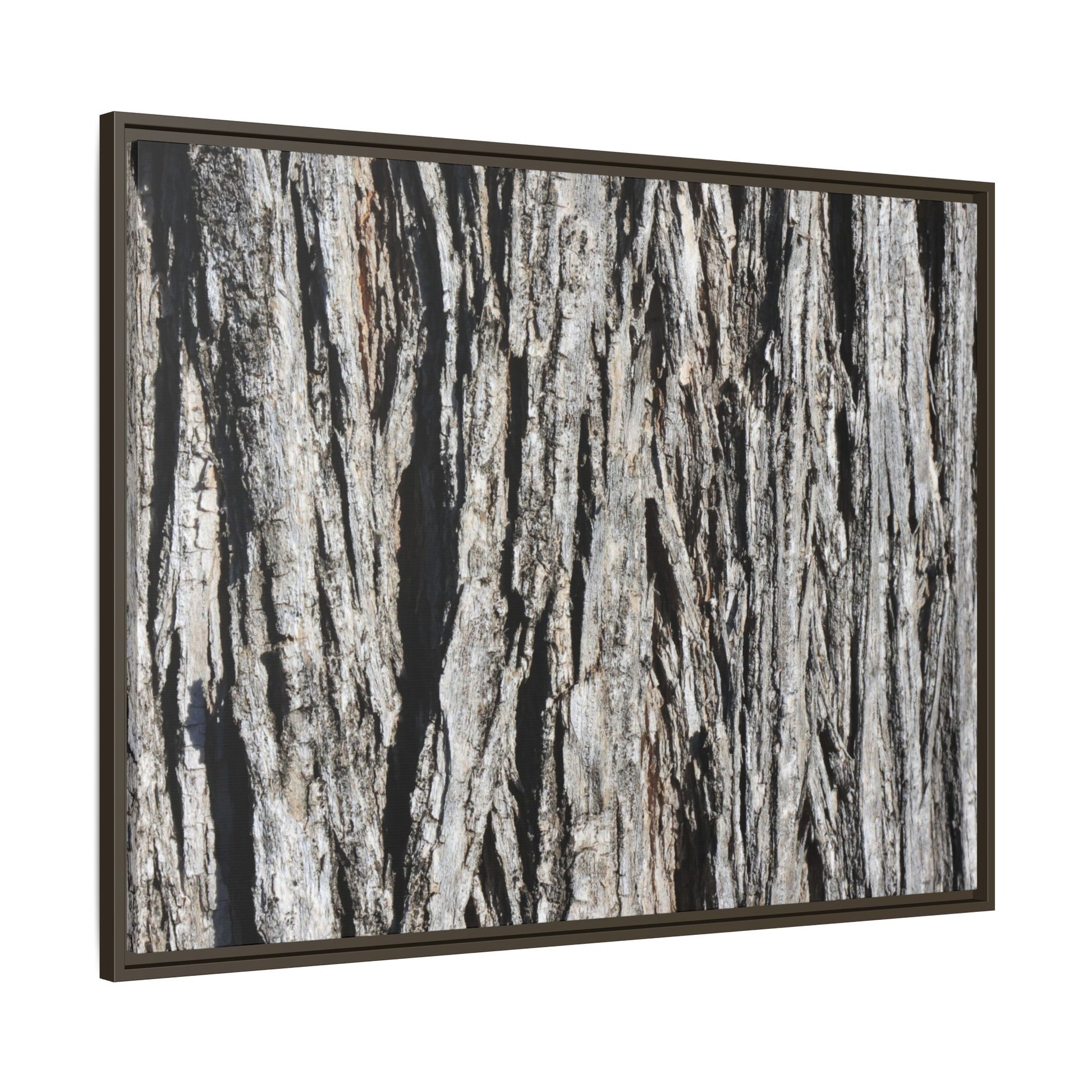 Nature's Abstract - Unique Stretched Canvas Wall Art - Art By Earth