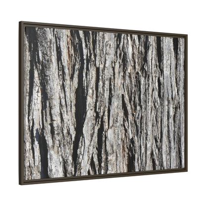 Nature's Abstract - Unique Stretched Canvas Wall Art - Art By Earth