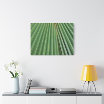 Fan of Green - Unique Frameless Canvas Wall Art - Art By Earth