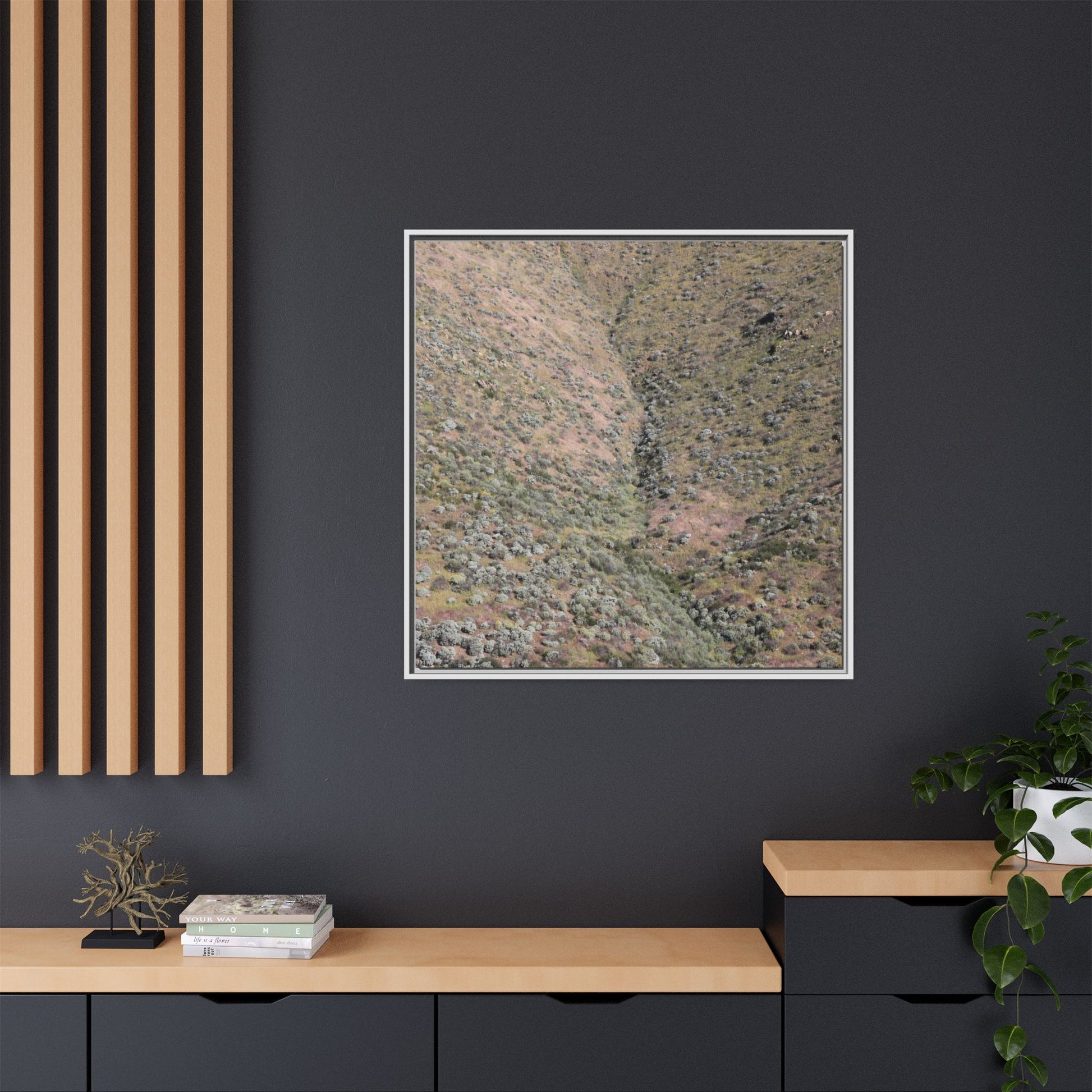 Mountain Slope with Desert Vegetation - Unique Stretched Canvas Wall Art - Art By Earth