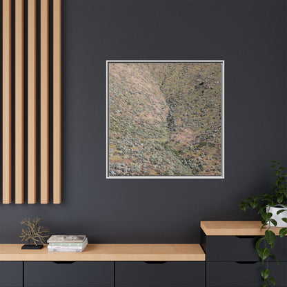 Mountain Slope with Desert Vegetation - Unique Stretched Canvas Wall Art - Art By Earth