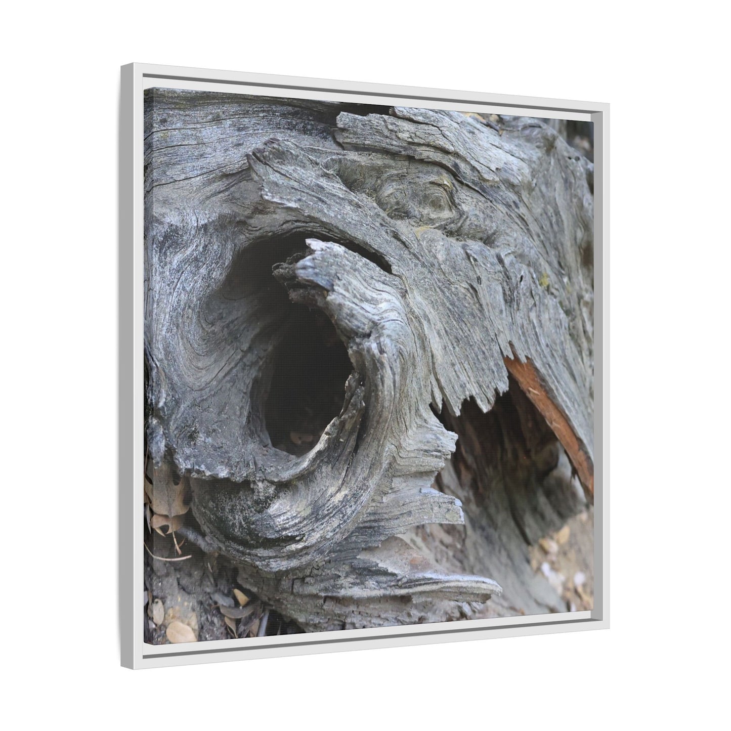 Bark's Labyrinth - Unique Stretched Canvas Wall Art - Art By Earth