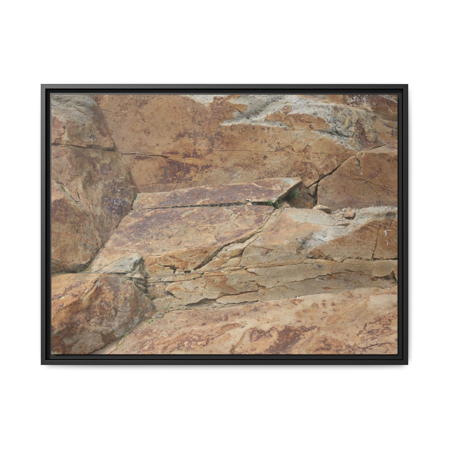 Ancient Foundations - Unique Stretched Canvas Wall Art - Art By Earth