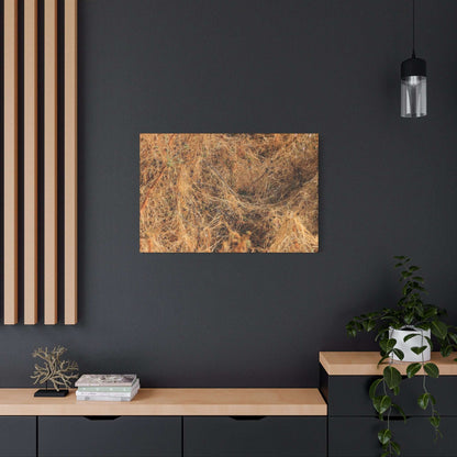 Dried Grasses - Unique Frameless Canvas Wall Art - Art By Earth