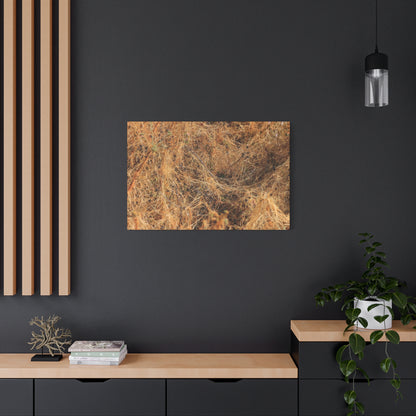 Dried Grasses - Unique Frameless Canvas Wall Art - Art By Earth