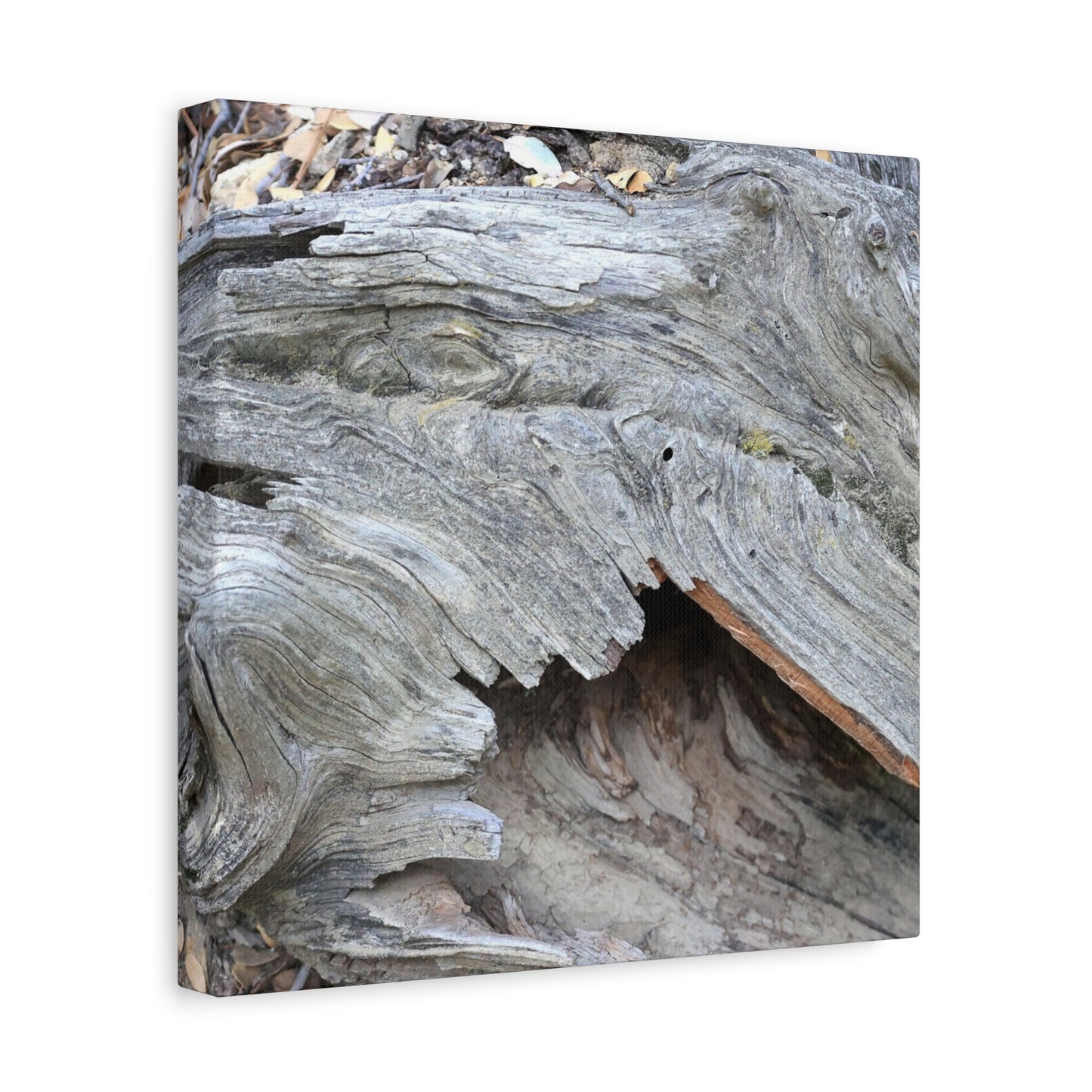 Whispers of Ancient Wood - Unique Frameless Canvas Wall Art - Art By Earth