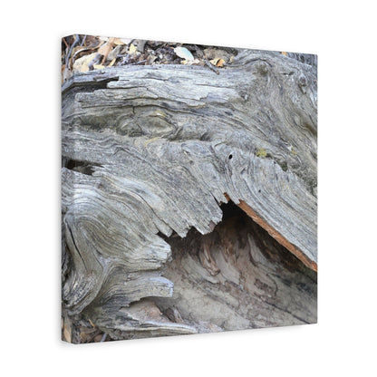 Whispers of Ancient Wood - Unique Frameless Canvas Wall Art - Art By Earth